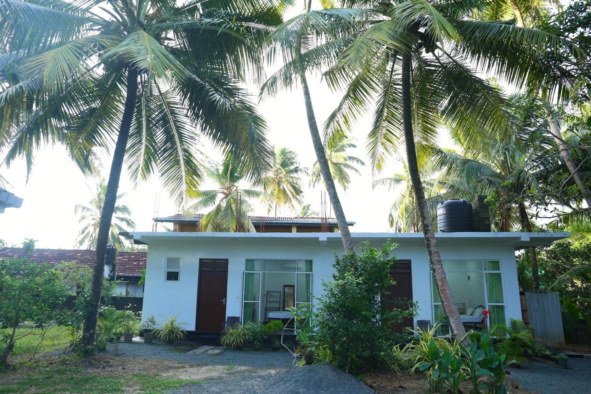 Sandy Palms Guesthouse Hikkaduwa Esterno foto