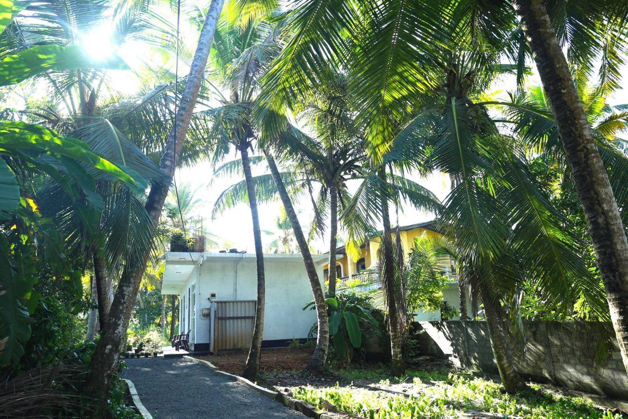Sandy Palms Guesthouse Hikkaduwa Esterno foto